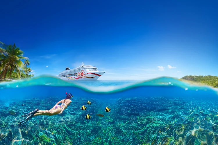 Eine Person schnorchelt in einem klaren Korallenriff mit gelben Fischen, während im Hintergrund ein weißes Kreuzfahrtschiff auf dem Meer fährt.